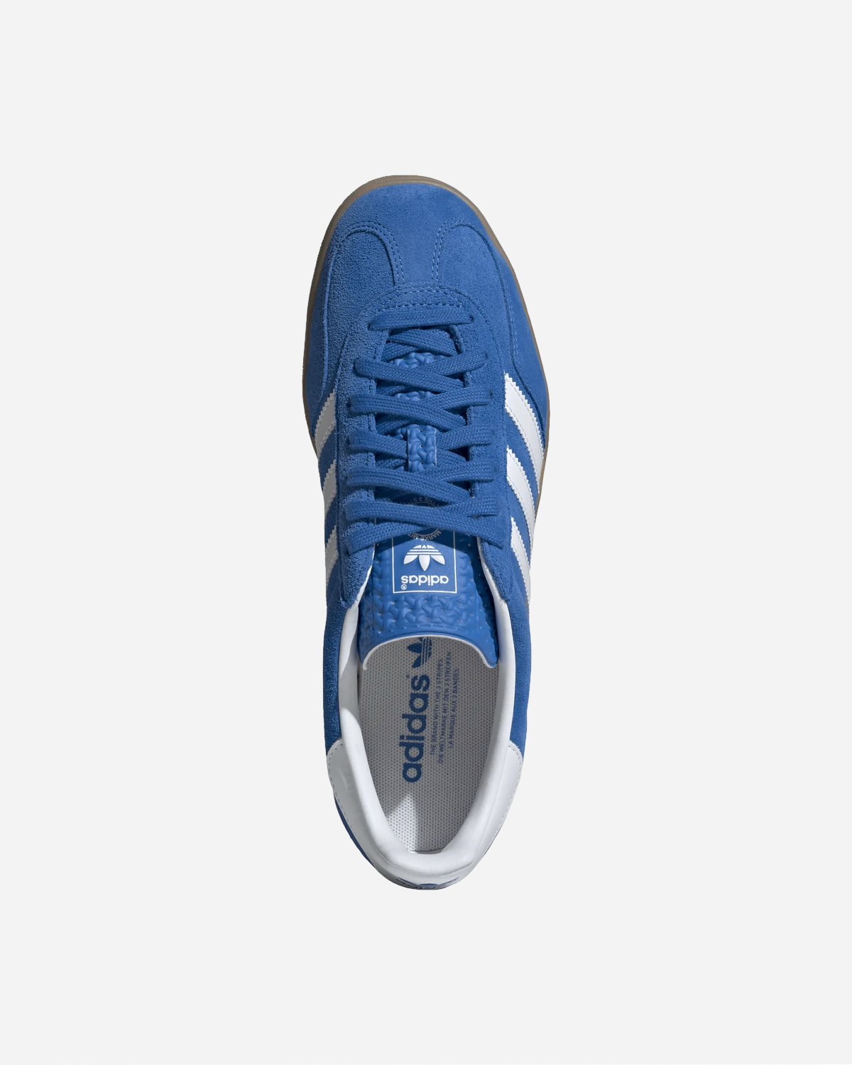 Gazelle Indoor