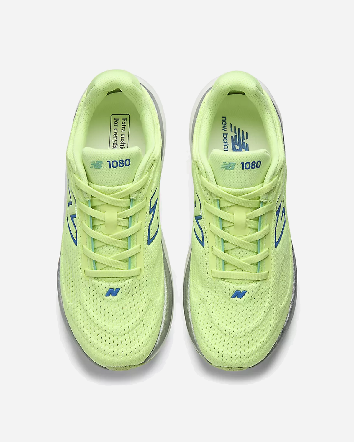 W108099D
