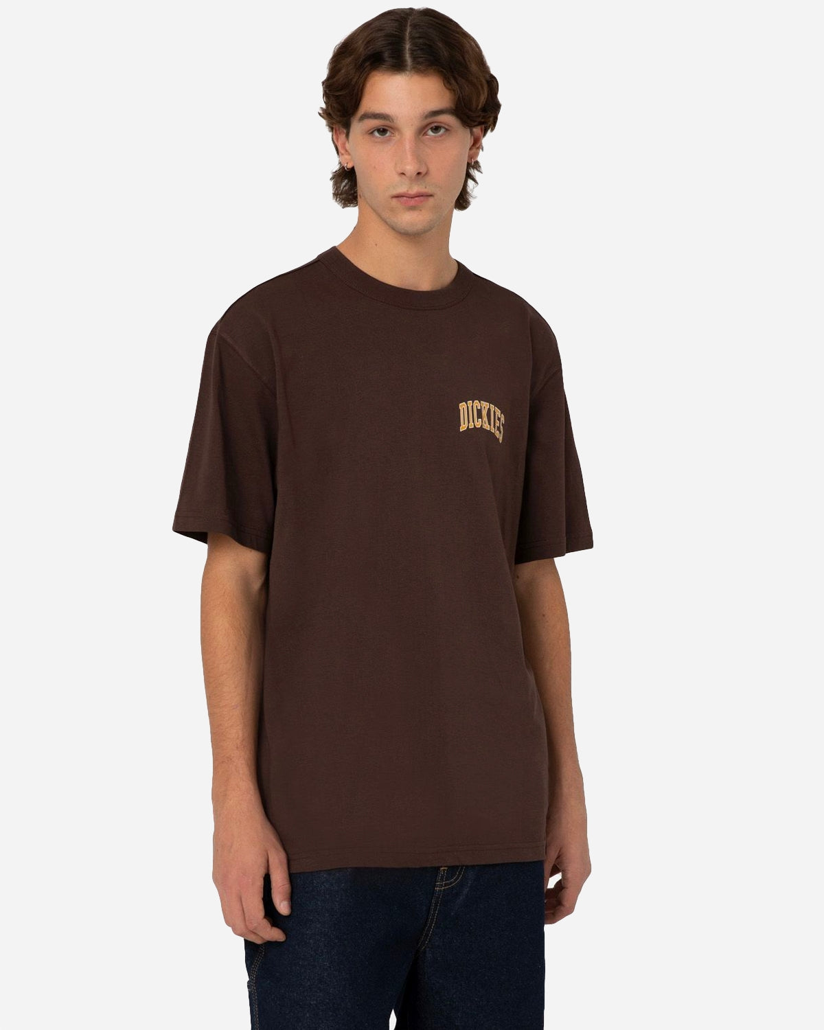 Aitkin Chest Tee Ss - Java