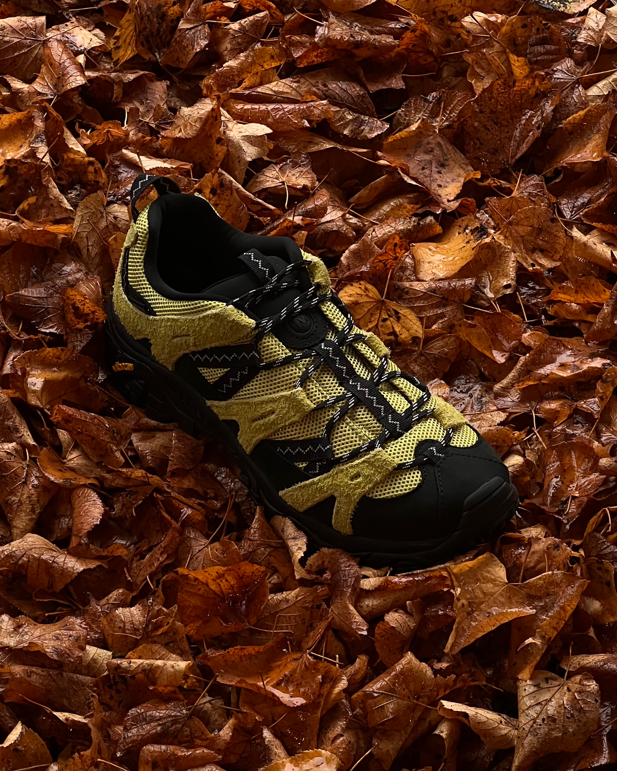 Moab 2 Siren X Gramicci - Dark Citron