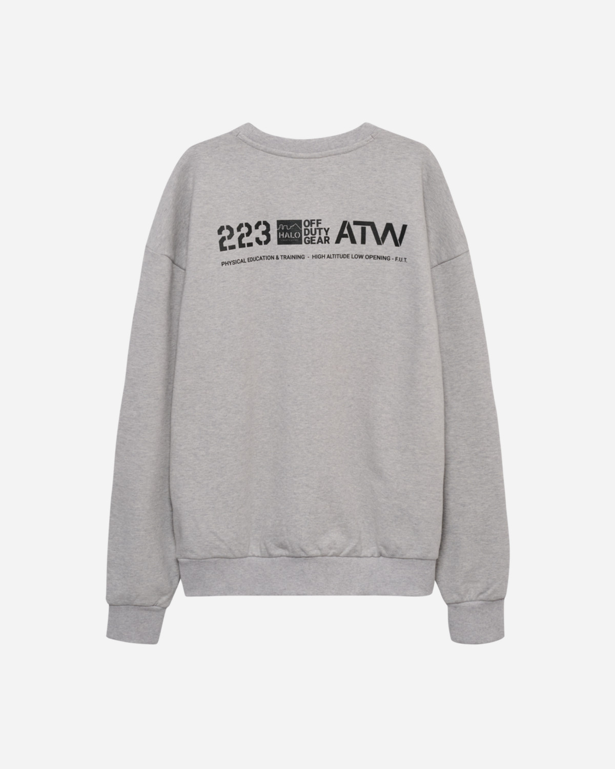 Graphic Boxy Crew