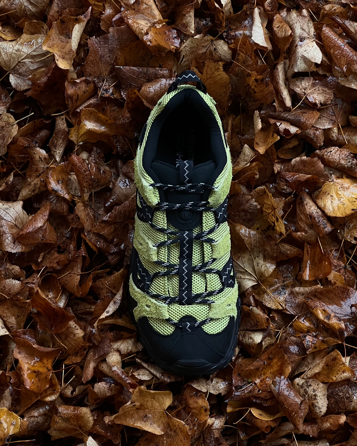 Moab 2 Siren X Gramicci - Dark Citron