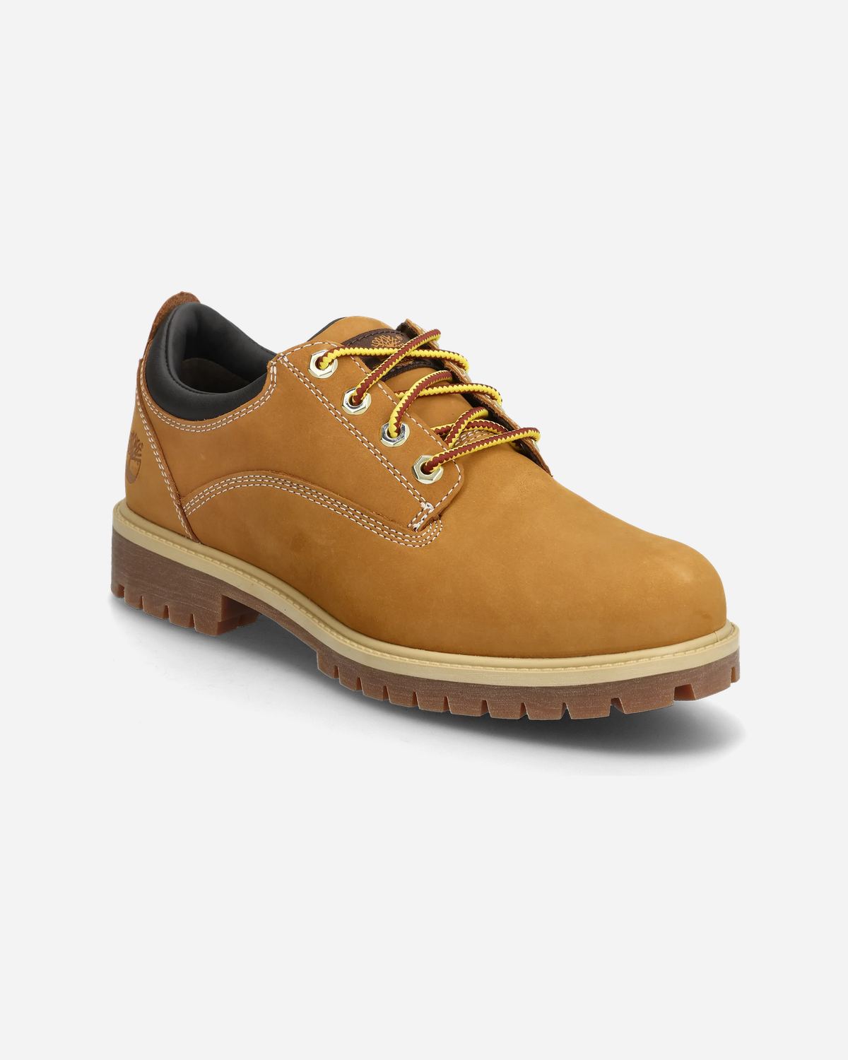 HETG Lace Up Shoe