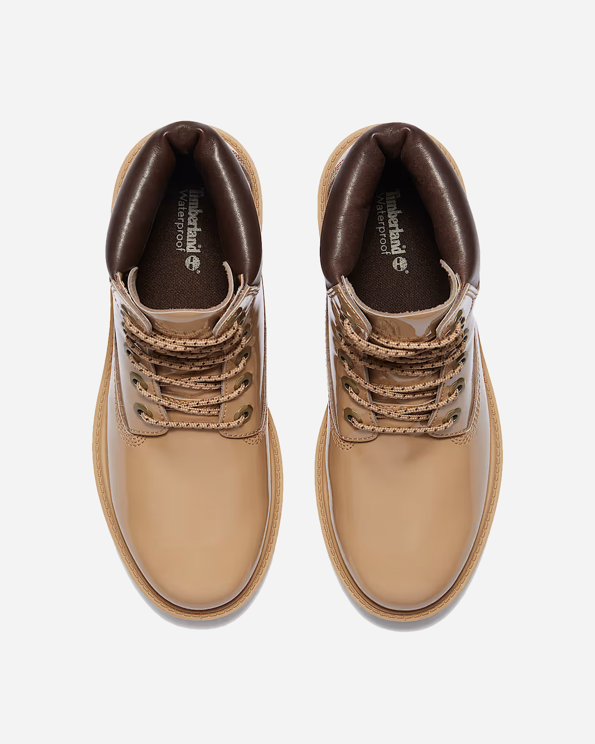 Timberland Women Premium 6-Inch Waterproof Boot - Brown
