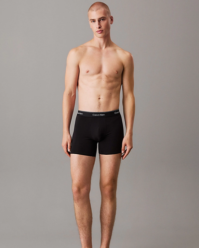 Boxer Brief Icon Cotton 3PK - White / Beau Blue / Leafy Fun