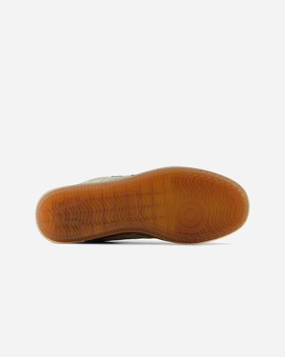 CT500PHC - Garter Snake / Sea Salt