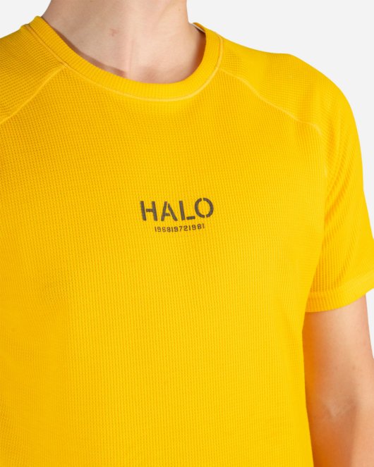 HALO Military Tee - Gold Fusion - Munk Store
